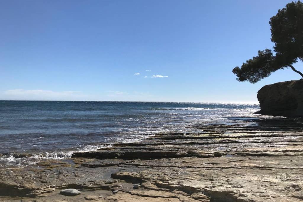 Les Terrasses Du Liouquet T2, Piscine , Parking , Mer A 150 M La Ciotat Eksteriør bilde